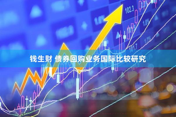 钱生财 债券回购业务国际比较研究