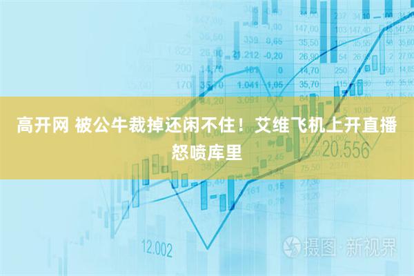 高开网 被公牛裁掉还闲不住！艾维飞机上开直播怒喷库里