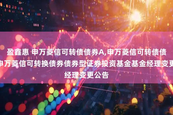 盈鑫惠 申万菱信可转债债券A,申万菱信可转债债券C 申万菱信可转换债券债券型证券投资基金基金经理变更公告