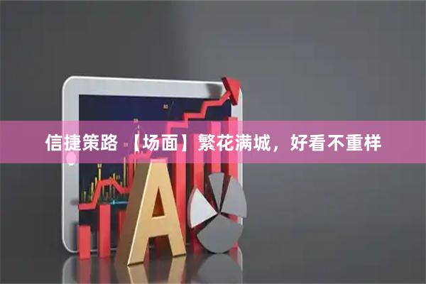 信捷策路 【场面】繁花满城，好看不重样